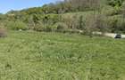 Teren intravilan 1400 m2 in Curteni, Santana de Mure? - la doar 10 minute de centrul Targu Mures - 3