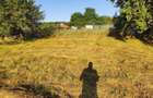 Teren 1000 mp pt casa in Salicea, capat de strada, utilitati, gard