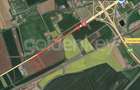 Teren 10.000 mp Constanta - Valu Traian
