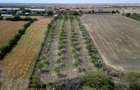 Vanzare teren 9654 mp, deschidere 27m, comuna Dobra, sat Dobra - 8