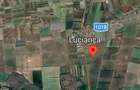 Vanzare 5000 mp teren  Butimanu-Lucianca (aproape de Bucuresti) plata în rate - 1