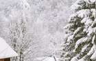 Vila la munte Brasov-Zarnesti, teren 2 hectare, Piatra Craiului, Plaiul Foii, Gym, sauna, jacuzzi - 2
