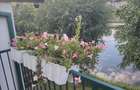Casa Complex Weekend - 5