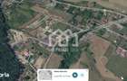 Teren Premium 926 mp in Jucu de Sus | Zona Exclusivista langa Padure - 1