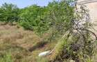 Vand teren intravilan - 9