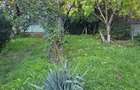 ULTRACENTRAL - teren 514 mp, 2 deschideri - 290000 euro - Ploiesti (Prahova) - 13
