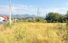 ZONA CASTEL TRANSILVANIA -str. VRANCEI -casa parter la rosu cu teren 1678mp! - 5