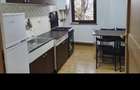 Inchirieri apartament 2 cam.etaj.1 cu boxa si curte stra Horia Radauti - 2