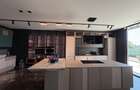 Penthouse în bloc nou boutique,500mp terase,2 parcări incluse - 8