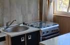Dristor-Park Lake, garsoniera, 5 minute metrou, 340 euro, renovata - 5