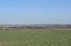 Teren de vanzare, 3800 mp, zona Mischii sat Gogosesti - 3