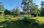 Casa de vanzare | Snagov | Strada Ion C Baicoianu