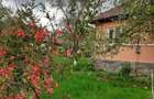 Proprietate de vanzare in Deleni - 2