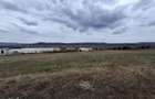 Teren de vanzare, Parc Ind. Selimbar, Sibiu, autorizatie de construire - 2