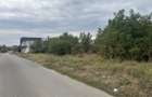 Teren Intravilan 1000 mp Jilava -Str.Garii,Asfalt ,Toate Utilitatiele - 5