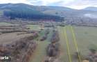 Teren 5.800 mp Purcareni curent, gaz, apa / Strada 30 decembrie