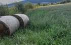 Teren intravilan cu intrare din DN17 Viisoara - 1
