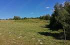 Teren de 20000 mp, în Ciucea - 3