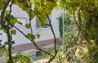 Apartament 4 camere curte comuna Iosefin - 4