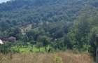 De vanzare: Teren 1000 mp intravilan in Bunesti -  Malureni, Arges