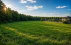Teren de vanzare Ciofliceni - Snagov - Zona Exclusivista - 2