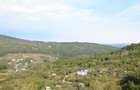 Domeniu pentru dezvoltare : casa, teren, livada, padure SOIMARI PH - 3