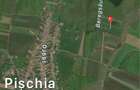 Teren de 10000 mp, în Pișchia - 1