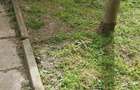 Casa de vacanta cu etaj la raul Nera DN 57 cu teren 4500 mp2 Naidas Nr.693 (CS)
