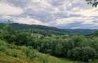 Casa si teren potential turistic Slatioara-Suceava