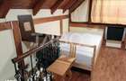 Casa de vacanta cu livada de 640 mp de vanzare in Tropinii Noi - 10