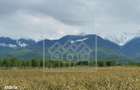 Teren intravilan de vanzare in Arpasu de Sus, 2000 mp, vedere spre mun - 3