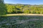 RECO, teren intravilan, Zona Sinteu, Bihor - 4