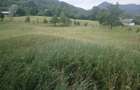 TEREN 2695 MP de vanzare in Statiunea TG OCNA