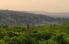 Teren 1600mp Vi?an - Str. Al. Macedonski Ideal Dezv/ Duplexuri / Bloc - 6