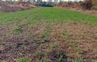 Vind teren extravilan teren agricol - 1