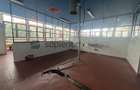 Spatiu comercial _ Cantemir / Nufarul