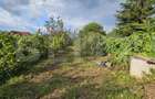 Casa de vanzare, 150 mp, teren de 870 mp, zona Piata - Sebes - 16