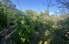 Casă de vânzare, 77 mp, teren 10 ari, zona Viile Satu Mare - 14