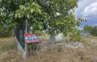 Teren intravilan Manastirea, Buftea, 500mp sau 877mp, 0% comision - 6
