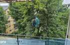Apartament 3 camere, zona Cornisa/UMFST - 7