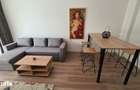 APARTAMENT 2 CAMERE CU 2 LOCURI DE PARCARE INTERIOR/EXTERIOR , PETS OK - 3