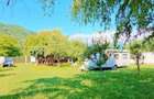 Proprietate de Vanzare in Calimanesti Jiblea Noua Jud VL 320.000 E - 5