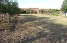 Berliste, Casa 6 Incaperi, 1129mp Teren, Pret Negociabil