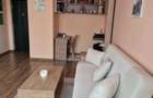 Apartament 2 camere, mobilat si utilat - Micalaca 300 (blocul Riverside Residence) - 8