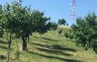 Teren intravilan Oradea - 2