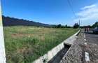 Teren agricol intravilan de vanzare - sat Goleasca, comuna Sotanga, jud Dambovita - 6