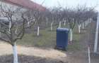 Teren de 966 mp, în Păuca - 10