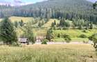 Teren intravilan in Valea Putnei, Bucovina - acces direct din DN17