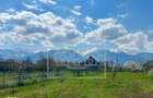 Teren intravilan de vanzare in Arpasu de Sus, 2000 mp, vedere spre mun - 2