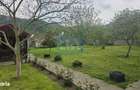 Vila in Dubova, langa Dunare, Teren 1361mp - 8